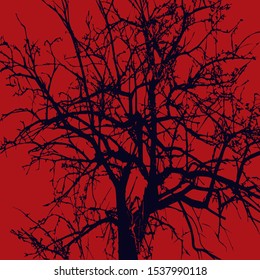 Ebony. The contour of a tree without leaves on a red background. The top of the tree and its upper branches without leaves. Mighty acacia without leaves. A tree that is many years old. svg