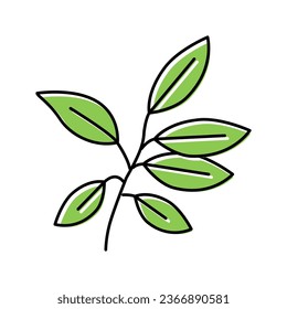Ebenenblattfarbsymbol, Vektorgrafik. Eberblattschild. einzelne Symbolillustration