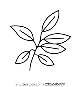 ebony leaf line icon vector. ebony leaf sign. isolated contour symbol black illustration