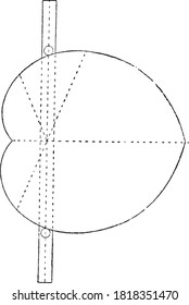Eccentric (mechanism), From the Dictionary of Word and Things, 1888.