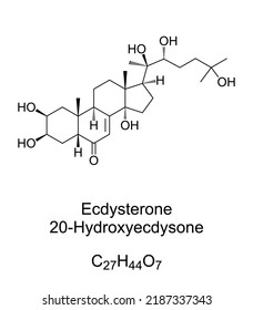 Ecdysterone, chemical formula and structure. Hydroxyecdysone, 20E, one of the most common molting hormones in insects. Used in bodybuilding as steroid hormone to enhance the physical performance.