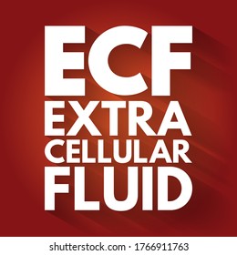 ECF - Acrónimo de fluido extracelular, fondo de concepto médico