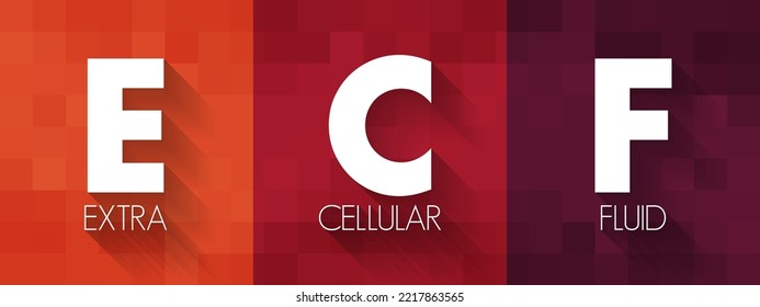 ECF Fluido extracelular - líquido corporal que no está contenido en células, acrónimo fondo de concepto de texto
