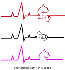 ECG with cat on white background. Vector illustration.