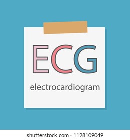 ECG (electrocardiogram) written in a notebook paper- vector illustration