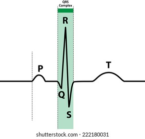 Ecg Naming Sequence Version 2 Part Stock Vector (Royalty Free) 222180031