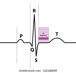 Ecg Naming Sequence Version 2 Part Stock Vector (Royalty Free ...