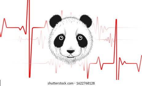 ECG of Pets. Panda heartbeat.