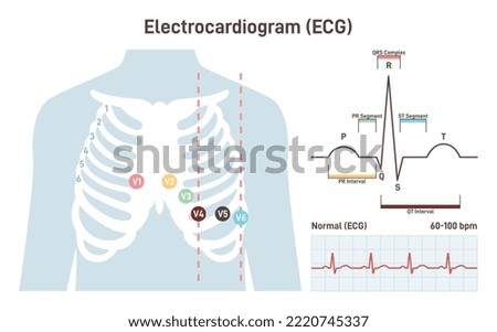 ECG procedure. Cardiovascular checkup with cardiogram. Heart disease diagnosis. Flat vector illustration