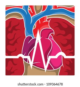 An ECG wave going over the chest cavity containing the heart, lungs and blood vessels.