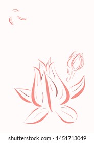 Echeveria buds vector sketch, logo, icon, postcard.