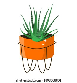 Echeveria cactus, a green succulent houseplant in a bright orange pot isolated against the background. Vector illustration