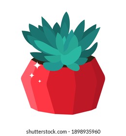 Echeveria cactus, a green succulent houseplant in a bright red pot isolated against the background. Vector illustration
