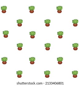 Echeveria cactus, succulent houseplant in a brown pot. Succulent. Seamless pattern. Cartoon. Vector illustration.