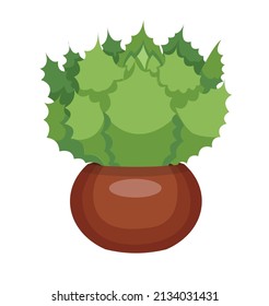 Echeveria cactus, succulent houseplant in a brown pot. Succulent. Cartoon. Vector illustration isolated on white background.