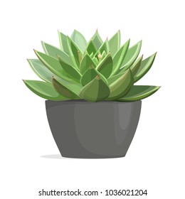 Echeveria Cactus, Succulent Indoor Plant In Grey Pot. Vector Isolated Illustration.