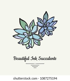 Echeveria hand drawn succulent vector isolated illustration. Modern ink succulent plant logo, icon, poster, banner, postcard. Minimalistic floral illustration floristry shop. Beautiful succulent plant