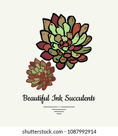 Echeveria hand drawn succulent vector isolated illustration. Modern ink succulent plant logo, icon, poster, banner, postcard. Minimalistic floral illustration floristry shop. Beautiful succulent plant