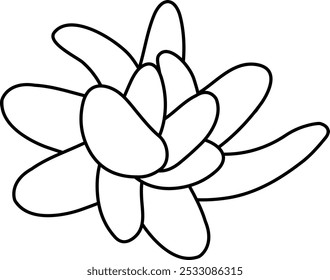 Echeveria laui vista desde arriba. Icono o Ilustración vectorial de estilo simple. Planta suculenta en estilo plano blanco y negro. Útil para impresión y diseño. 