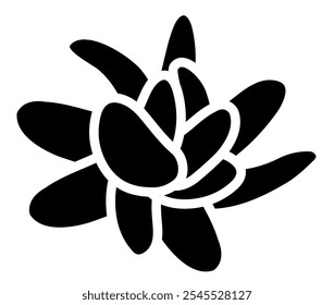 Echeveria laui vista desde arriba. Icono o Ilustración vectorial de estilo simple. Planta suculenta en estilo plano blanco y negro. Útil para impresión y diseño. 