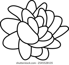 Echeveria laui vista desde arriba. Icono o Ilustración vectorial de estilo simple. Planta suculenta en estilo plano blanco y negro. 