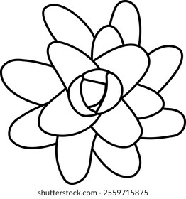 Echeveria laui view from top. Simple style vector illustration or icon. Succulent plant in black and white flat style. Useful for print and design. 