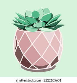 Echeveria succulent in ceramic pot in flat technique vector illustration	