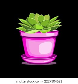 Echeveria succulent in ceramic pot in flat technique vector illustration	