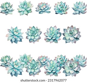 Echeveria.Set of succulents in watercolor style. Succulents for your design.