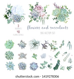 Echeveria, tillandsia blue, grey, mint succulents, white hydrangea, pale pink rose,greenery and eucalyptus big vector design set.Trendy pastel dusty color wedding collection. Isolated and editable