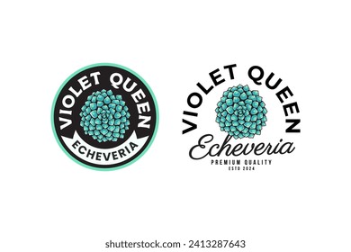 echeveria of violet queen succulents logo design for plant shop and lover business
