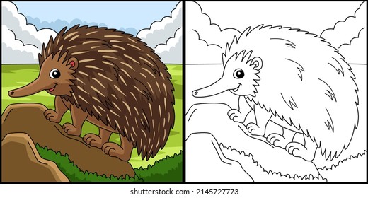 Ilustración coloreada de la página de color de los animales de Echidna