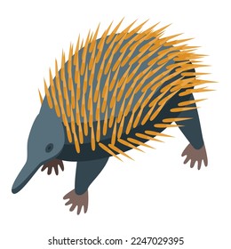 Echidna animal icon isometric vector. Cute nature. Zoo funny