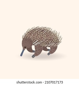 Echidna, Australian wild animal. Vector illustration isolated on white background. 