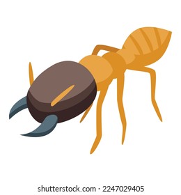 Echidna bug food icon isometric vector. Cute animal. Wild mammal