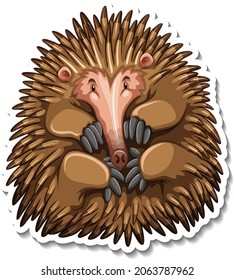 Echidna cartoon character on white background illustration