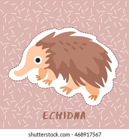 Echidna : Cute Animal Set :  Vector Illustration