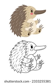 Echidna cute vector illustration cartoon isolated on white background. Spiky anteater vector colored and colorless. Cute coloring page for kids. 