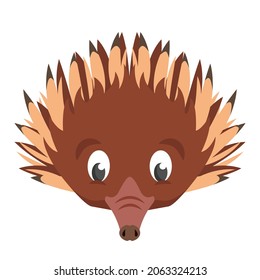 Echidna face front view. Animal head in cartoon style.