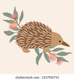 Echidna Hedgehog Native Australian Animals Eucalyptus Gum Blossom Flower Leaves