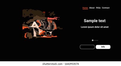 Echidna Running From Forest Fires In Australia Animals Dying In Wildfire Bushfire Burning Trees Natural Disaster Concept Intense Orange Flames Horizontal Copy Space Vector Illustration