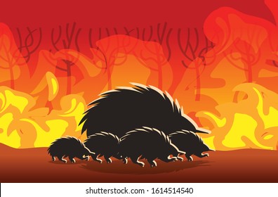 Echidna Silhouettes Running From Forest Fires In Australia Animals Dying In Wildfire Bushfire Burning Trees Natural Disaster Concept Intense Orange Flames Horizontal Vector Illustration