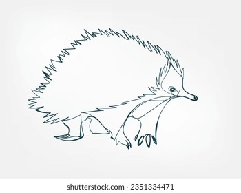 echidna vector line art animal wild life single one line hand drawn illustration isolated