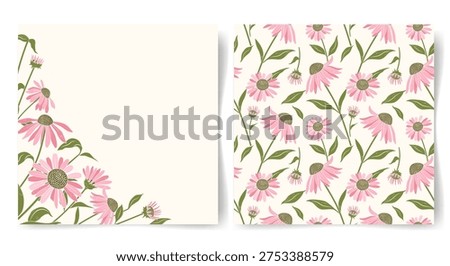 Echinacea bloom seamless pattern and card with coneflower. Pink flowers border for greeting card, invitation. 