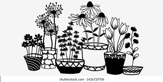 Echinacea, chamomile, schefler, noble hepatica, zephyrantes, stokesia in pots. Vector icon on white background.