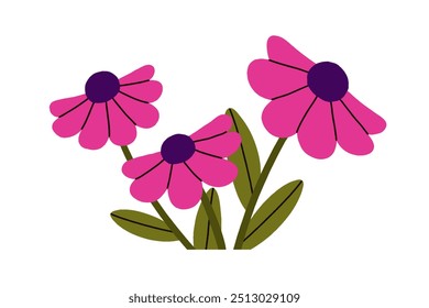Echinacea, coneflower with purple blooms, delicate petals. Beautiful flowers, herbs, botanical design element. Wildflower, floral herbal decor. Flat vector illustration isolated on white background