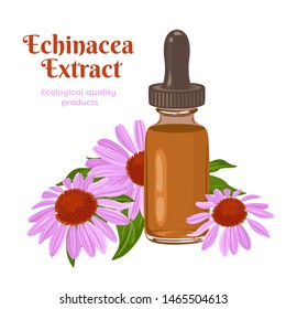 Echinacea Extract In A Glass Bottle And Purple Flowers Isolated On White Background. Vector Illustration Of Herbal Supplement In Cartoon Flat Style.