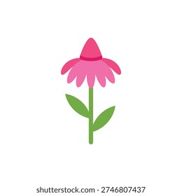 Echinacea Flower in Bright Pink Tones Flat Vector Icon