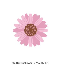 Echinacea Flower with Circular Petal Pattern Flat Icon