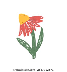 Echinacea flower crayon drawn. Spring plant doodle isolated on white background. Summer floral kids element. Chalk or pastel style childish scrawl wildflower shape. Vector naive illustration by pencil